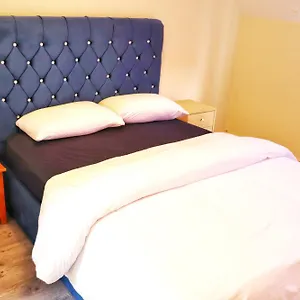 Homestay Deluxe Dwelling - 15 Mins From City/airport